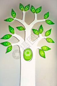 家庭复古的绿叶与人家谱或商业树概念在墙壁背景上的图像绿色图片
