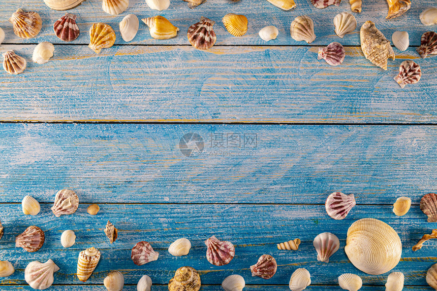 夏季时间概念蓝色木质背景上的贝壳木质背景航海边界上的贝壳框架专注于贝壳复制优质的甲板图片