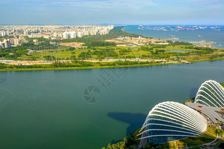 城市的超级树新加坡住宅区全景用船只和花朵多梅空中观察进行突袭住宅区全景以及新加坡空中观察的船舶突击袭等情况公园背景图片