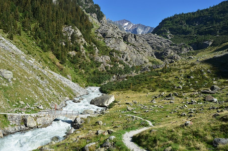 欧洲的阿尔卑斯山来自瑞士特里夫冰川的山河流森林高清图片
