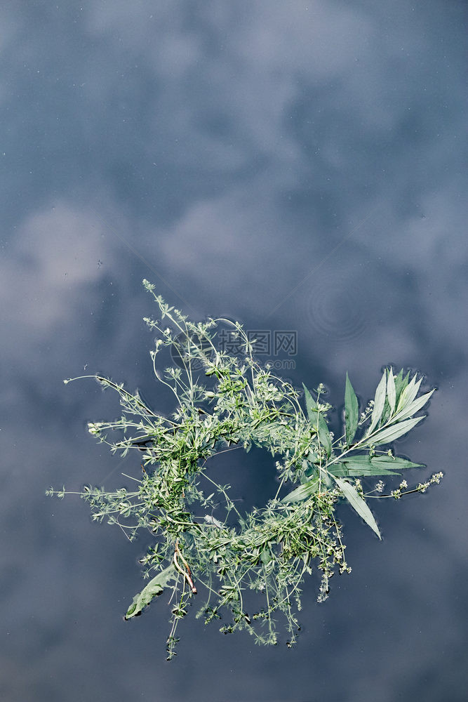 自然文化在中山江上漂浮的鲜花和草药乡村图片