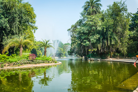 新德里Lodhi花园湖喷泉天旅行草地图片