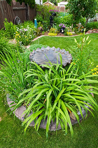 一个华丽的后院花园以鸟浴周围常年人居的中心床铺为主自然宽的大约图片