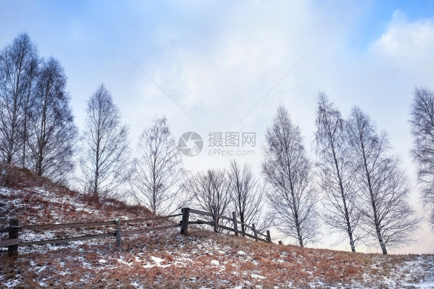 冬天松树明日太阳下山丘上的枯草和栅栏山丘上的草和篱笆明亮图片