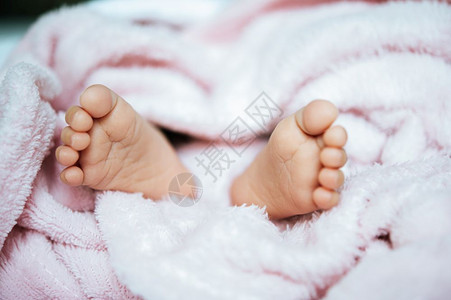 脚趾后代白毯子上新生婴儿脚白种人图片
