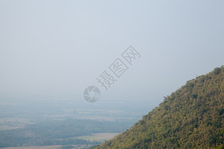 大约风景早晨树上有青雾山四周森林旅行图片