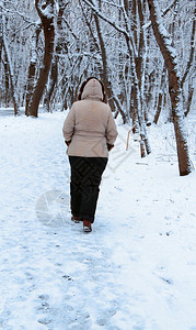 徒步旅行者积极的自然一个女人独在寒冬公园户外游走图片