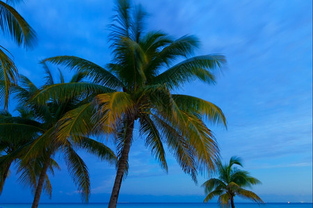 股票加勒比海滩日落的景象加勒比海滩日落之景假期天堂图片
