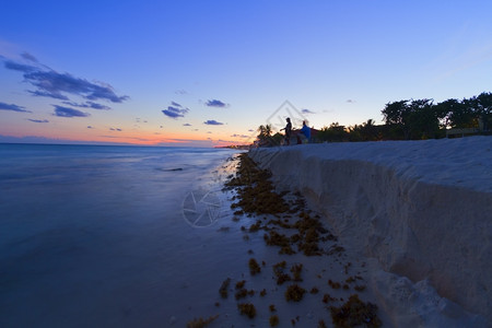 热的明亮季节加勒比海滩日落的景象加勒比海滩日落之景图片