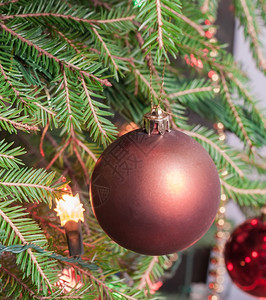 冷杉装饰边界在树枝圣诞装饰上玩具的装饰品挂在树枝上图片