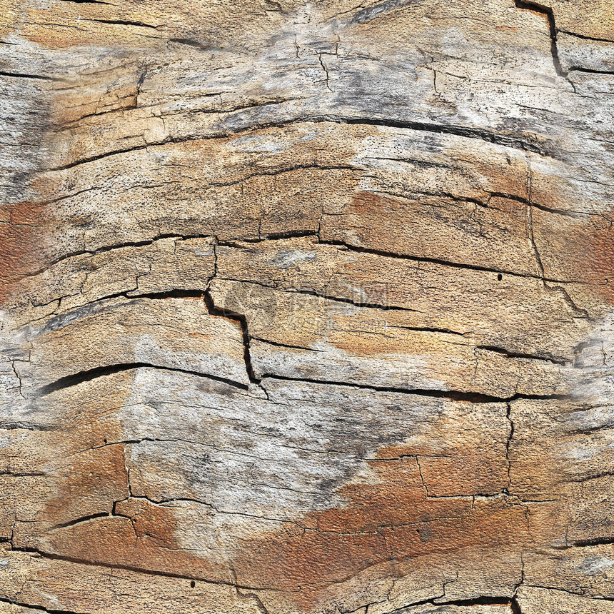 戒指棕色的圆圈树皮破碎干作为无缝木背景图片