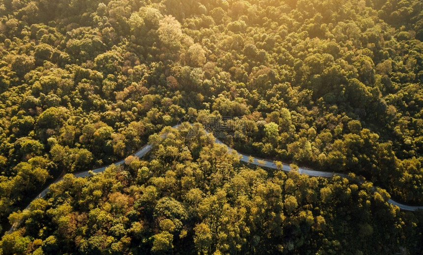 空的穿过绿色荒原和山丘的农村公路最顶端景色鸟眼图片