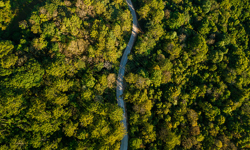 小路穿过绿色荒原和山丘的农村公路最顶端景色沥青鸟眼背景图片