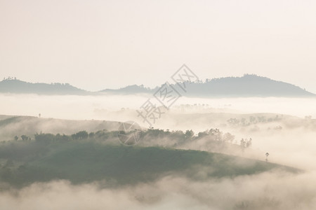 夏天寒冷的覆盖清晨有雾山峰和森林在泰国北部清晨寒冷凉爽图片