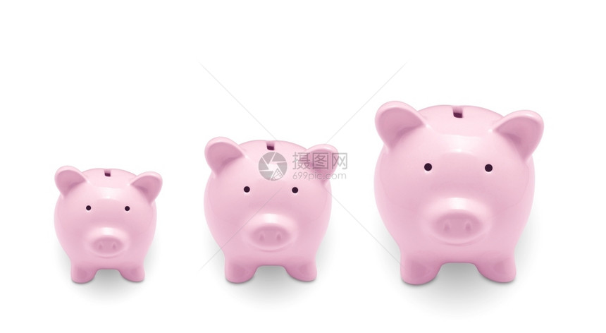 白背景孤立的猪头银行单身正面白色图片