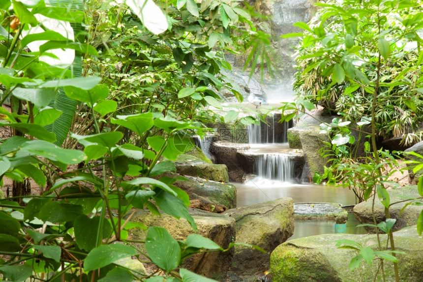 在花园中装饰的多层花园植树种的瀑布和木植物流动湿的图片
