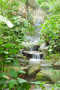 水景观在花园中装饰的多层花园植树种的瀑布和木喷图片