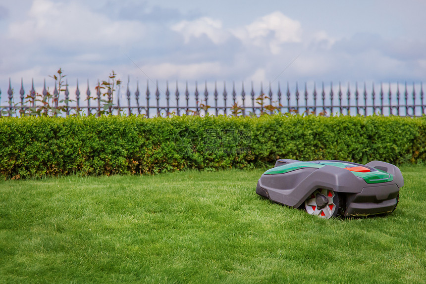 在草地上的机器人割草旁观花园现代远程技术近距离接草地上的MowerOnField野地上机器人割草自然公园艺图片
