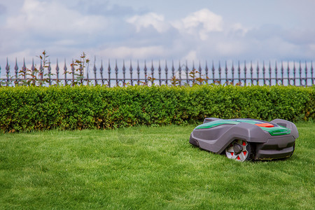 在草地上的机器人割草旁观花园现代远程技术近距离接草地上的MowerOnField野地上机器人割草自然公园艺背景图片