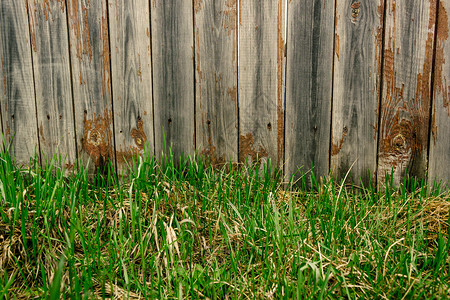黑暗的树墙纸在农村旧板草坪有围栏的土地上木栅栏下的绿草图片