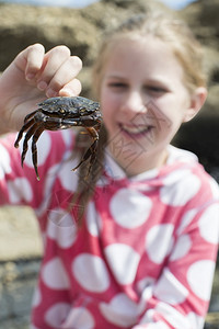 孩子甲壳类动物在海滩上岩池发现的年轻女孩抱螃蟹童年图片