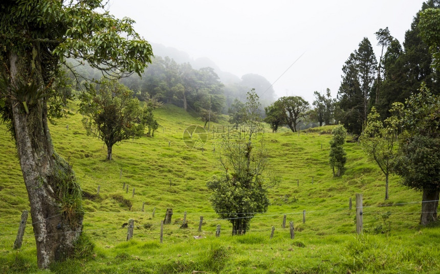 多黎各人风景优美哥斯达黎加拥有丰富的绿色山丘热带农村面积丰盛图片