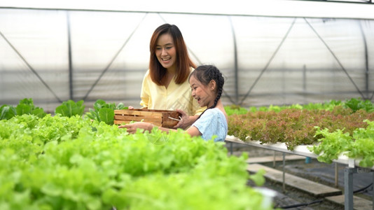 母亲与女儿在农场收获有机蔬菜图片