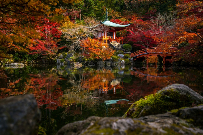 季节传统的日本京都著名大地寺庙秋红树叶公园图片