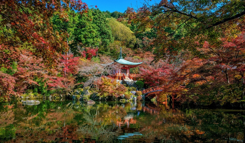 日本京都著名的大地寺庙秋红树叶天建造禅图片