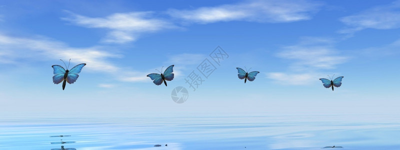 景观蓝蝴蝶飞向海洋的地平线3D使蓝蝴蝶飞向地平线3D春天美丽图片
