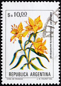 纪念航运阿根廷大约1983年一张印在阿根廷的邮票显示秘鲁百合AlstroemeriaAurantiaca大约年纸图片