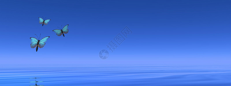 形象的蓝蝴蝶飞向海洋的地平线3D使蓝蝴蝶飞向地平线3D景观美丽图片
