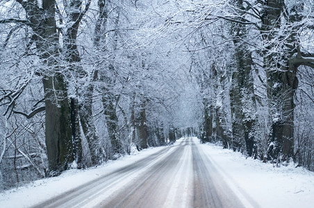 天空白色的下雪冰覆盖公路冬季森林中的道路冰雪覆盖的公路图片
