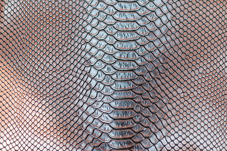 蛇兔网抽象的brow蛇皮图案纹理背景自然奢华设计图片