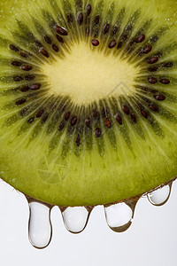 智利奇异果藤蔓成熟猕猴桃是属木本藤植物的可食用浆果实质地柔软甜而独特的风味如今在意大利新西兰智希腊和法国等几个家已成为经济作物点子背景