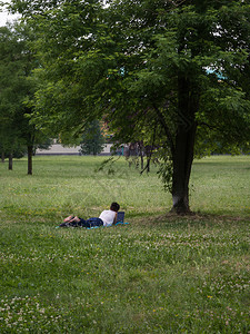 女孩趴在草坪上使用笔记本电脑图片