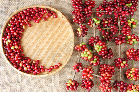 越南的竹子红色咖啡豆越南农产品竹篮中的咖啡豆麻布背景的竹篮子以鲜熟成果莓为艳色彩的惊人形状红色背景图片