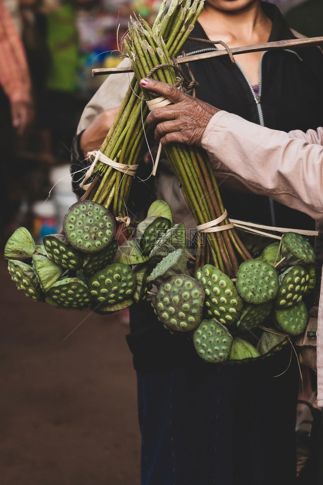 收获的莲蓬图片