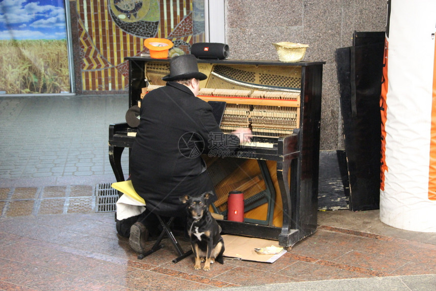 棕色的艺术指板流浪汉在街上弹钢琴被流浪狗包围图片