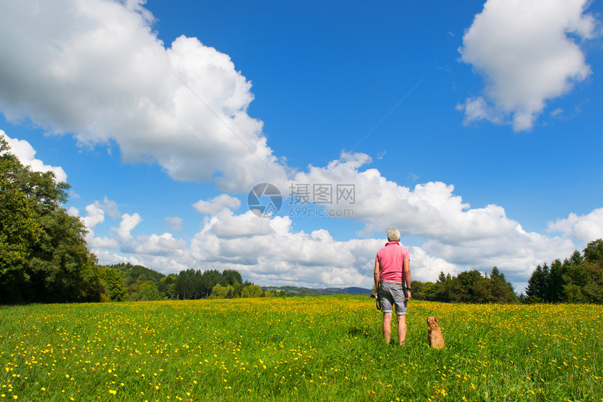 维林克阿基坦农业长者与狗一起坐在风景中图片