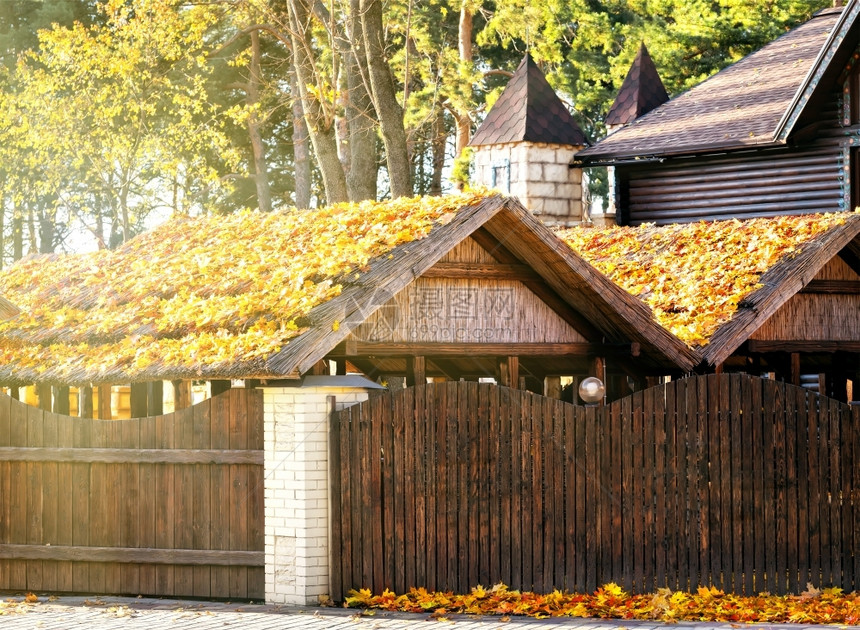 生锈的屋顶上覆盖着秋叶的木制建筑在太阳下覆有秋叶的屋顶上覆盖着秋叶的木制建筑细节图片