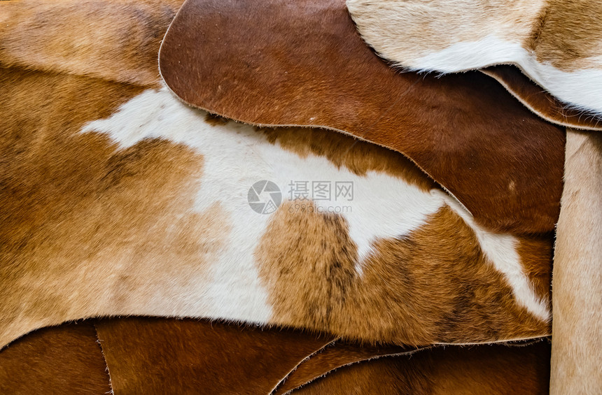 温暖的粗糙Pile棕色地毯牛皮动物图片