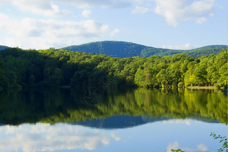 森林湖日落的美丽景色森林湖日落的美景照片树木季节图片