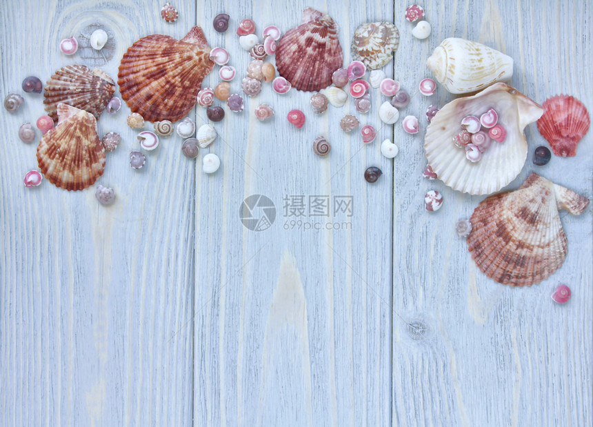 质地材料蓝色的夏季时间概念在蓝木背景的形海壳上使用异国图片
