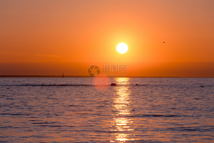 海上升起的日出图片