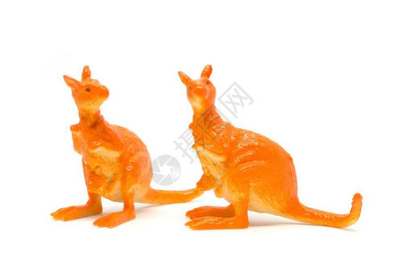 镀金白底隔离的袋鼠模型动物玩具塑料型橙荒野图片