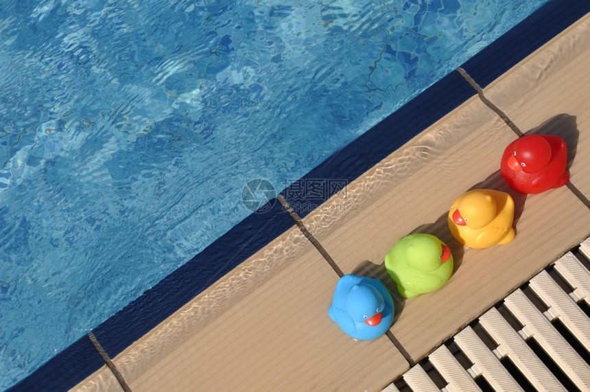 游泳池边的小孩玩具橡皮鸭图片