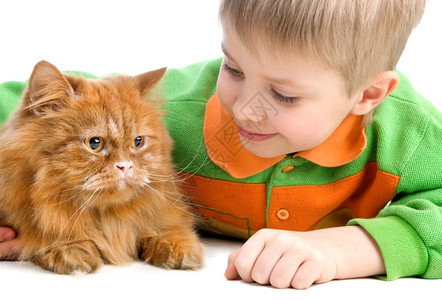 男生玩耍的小孩和严肃红猫趴在地上拥抱服装图片