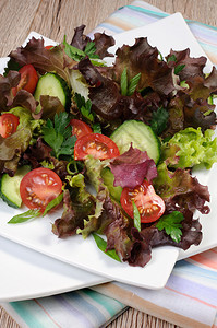 生菜叶的浅色沙拉配西红柿和黄瓜小时糖尿病休息图片