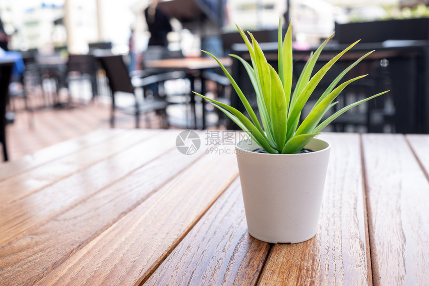 白花盆在木桌上加植物制的园艺明亮图片